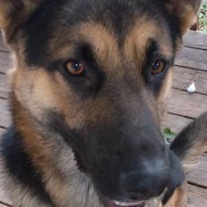 Meet your Posher, Bobby